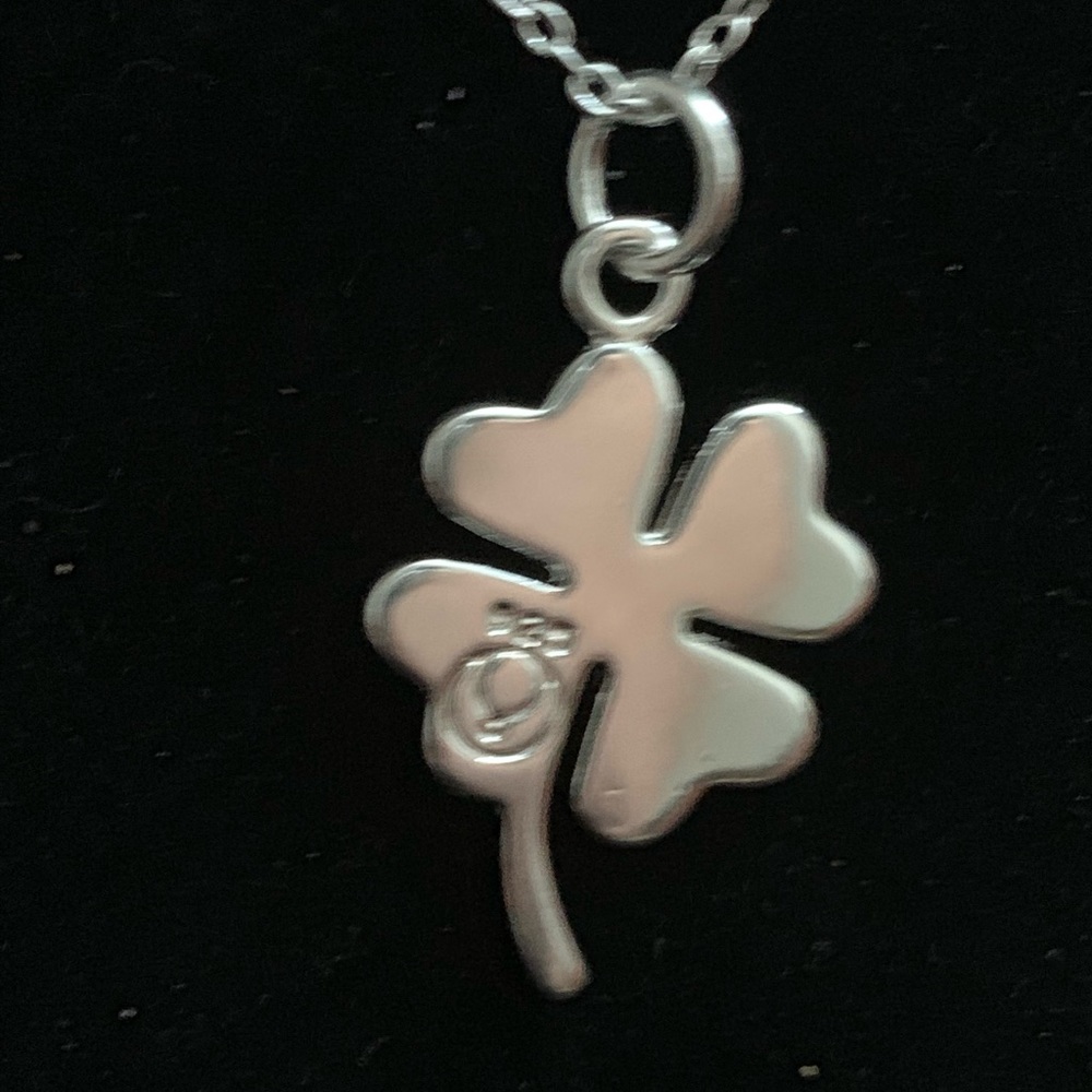 Pendant Charm Necklace - Picture 2 of 4